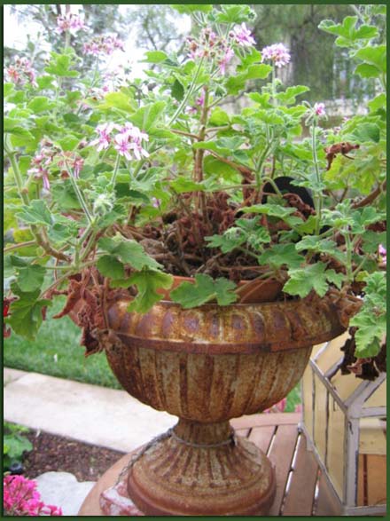 gardenurn