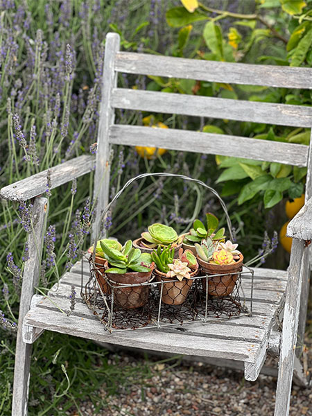 Vintage Mini Pot Caddy (CADDY ONLY) 1