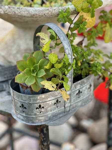 Fleur de Lis Tin Planter 1